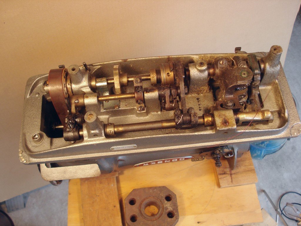 Photograph