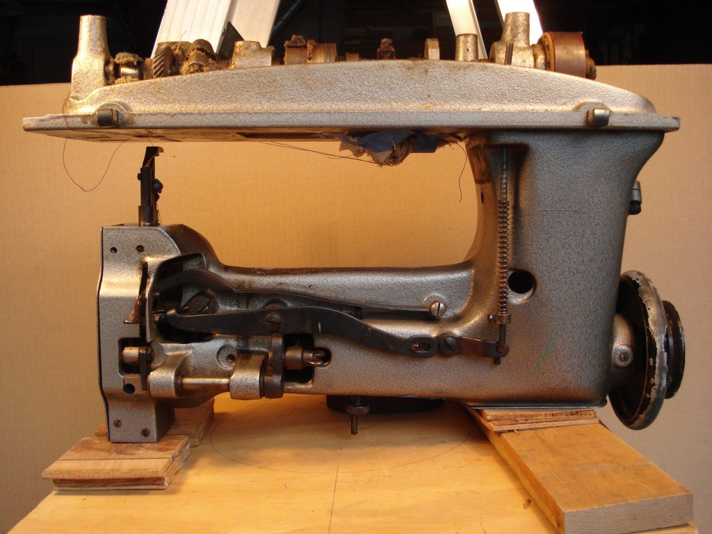 Photograph