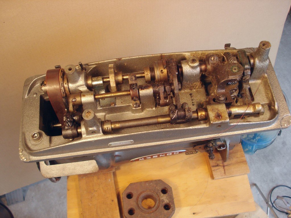 Photograph